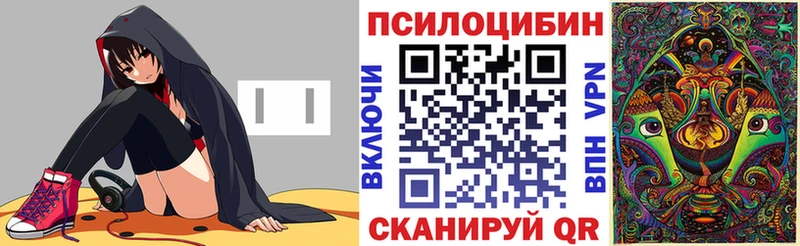 Псилоцибиновые грибы Psilocybe  Лысково 